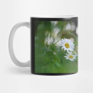 White daisy flower among green grasses with a nice bokeh. Mug